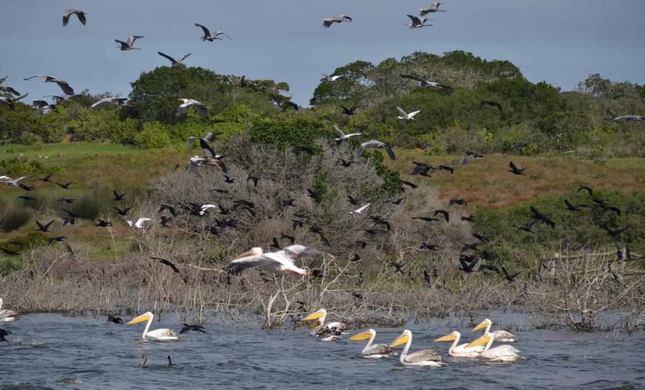De Hoop Collection - Equipped Cottages De Hoop Nature Reserve Екстер'єр фото